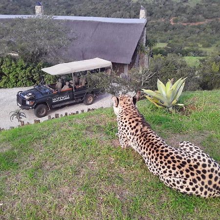 Hopewell Private Game Reserve Buyskloof Luaran gambar