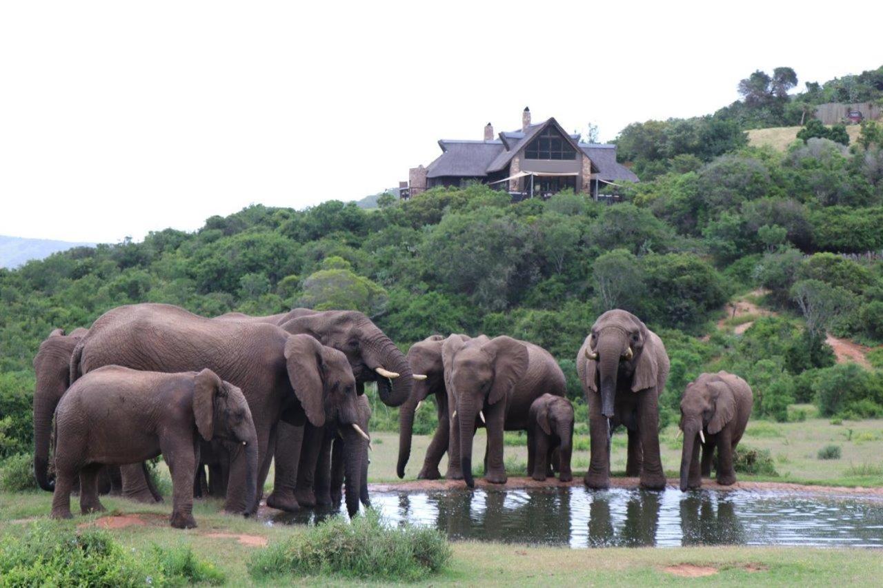 Hopewell Private Game Reserve Buyskloof Luaran gambar