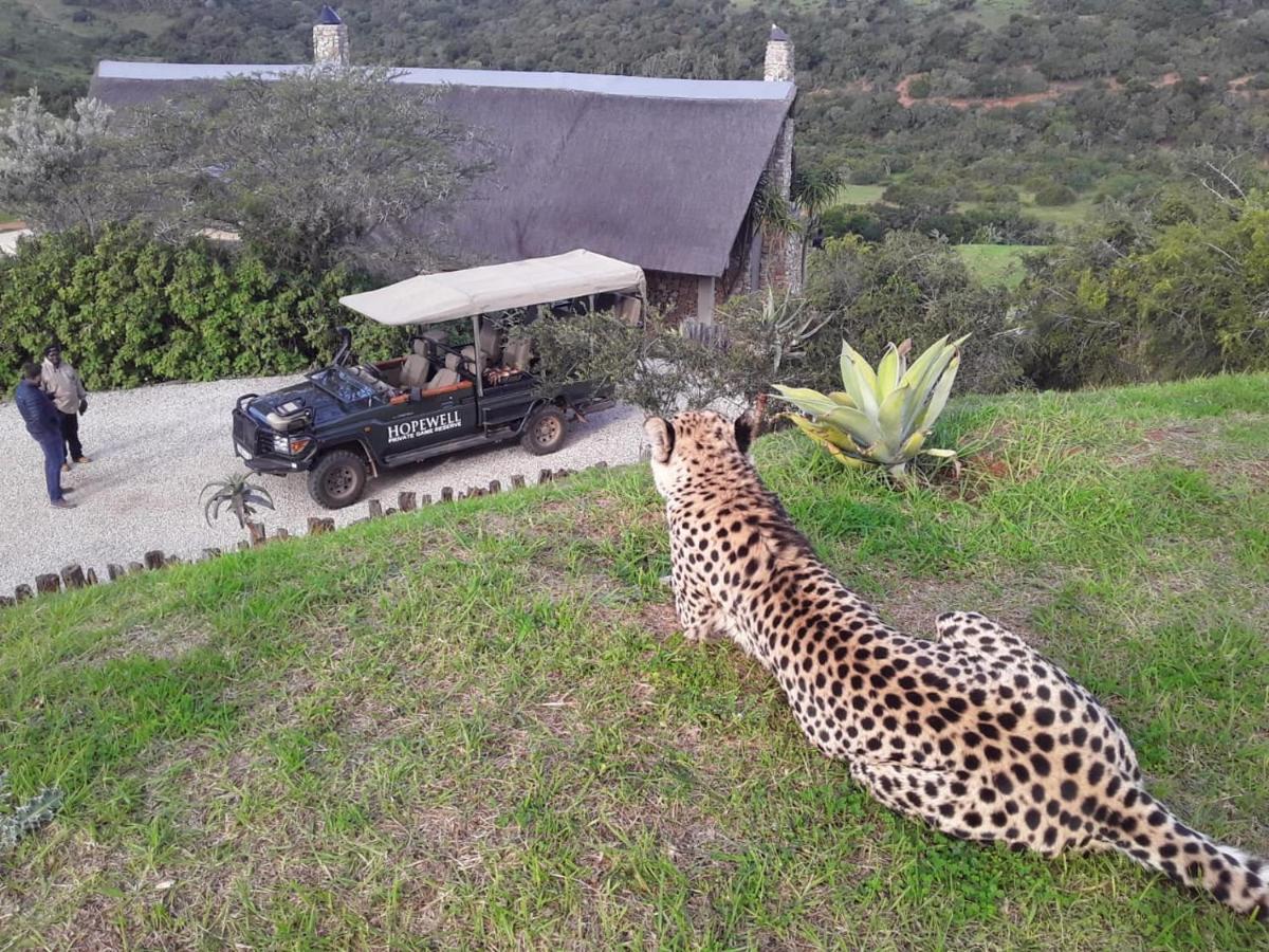 Hopewell Private Game Reserve Buyskloof Luaran gambar