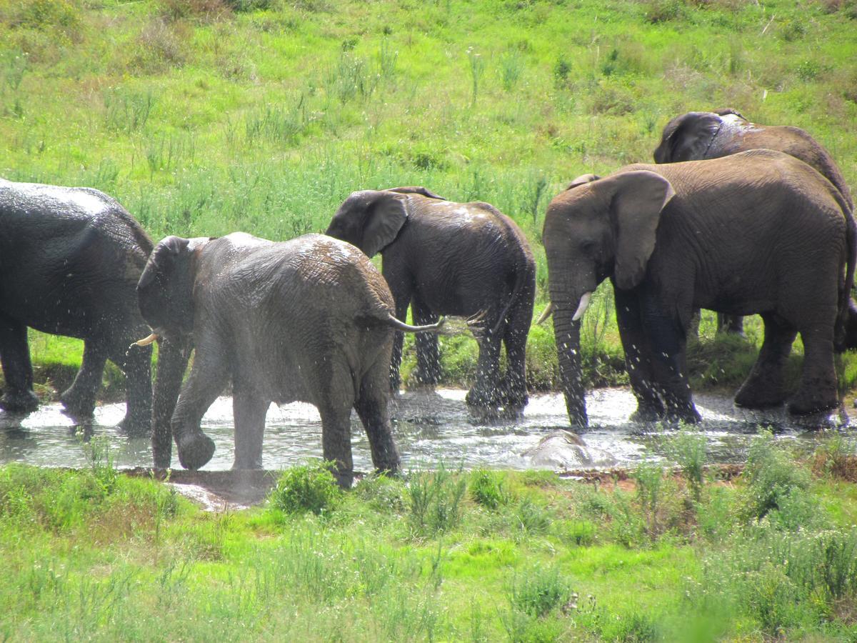 Hopewell Private Game Reserve Buyskloof Luaran gambar