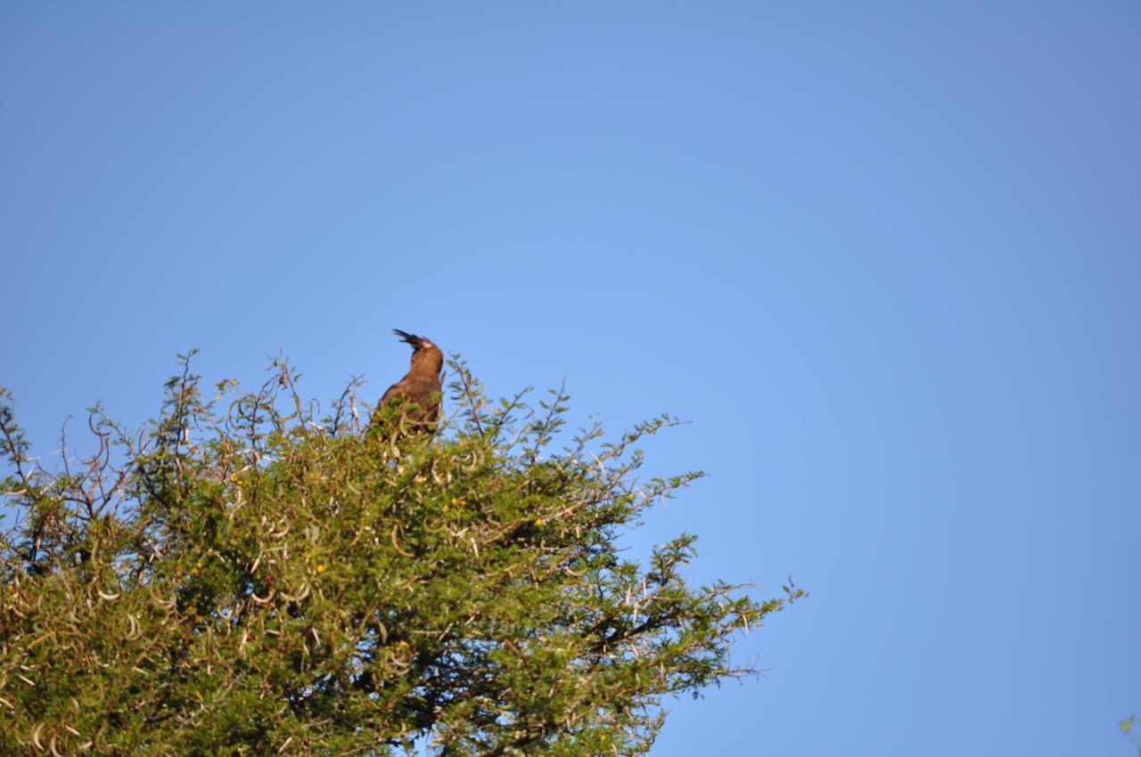 Hopewell Private Game Reserve Buyskloof Luaran gambar