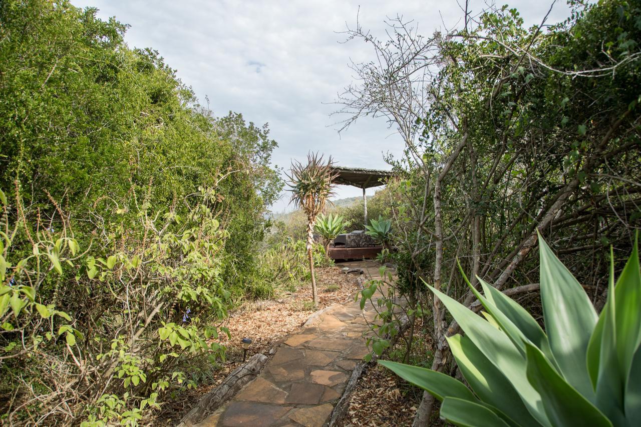 Hopewell Private Game Reserve Buyskloof Luaran gambar